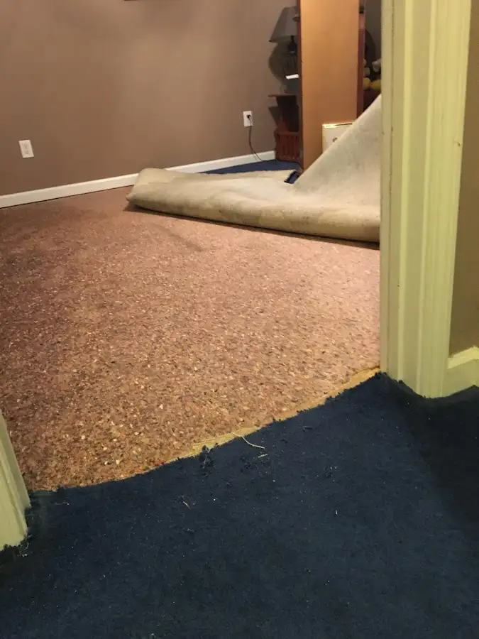 Carpet pad removal revealing water damage during Water Mitigation Services in Adams